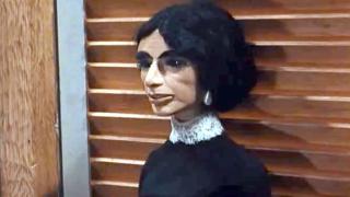 Attack of the Alligators Attack of the Alligators