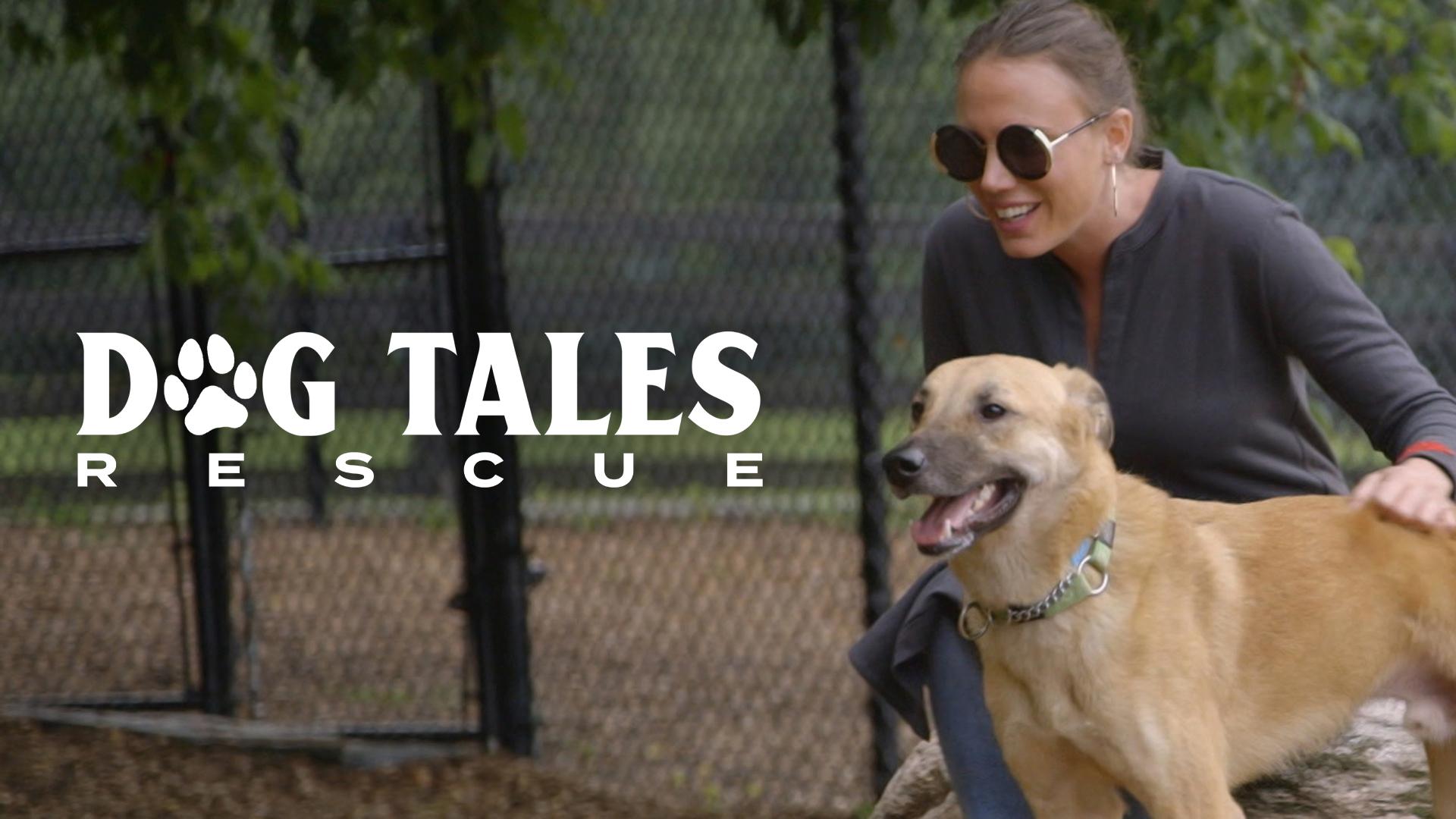 Watch Dog Tales Rescue Streaming on Philo