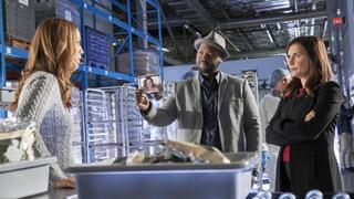 Hailey Dean Mysteries