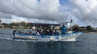 Pursuing Passions in Cozumel Pursuing Passions in Cozumel