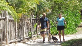 Enjoying Life in the Slow Lane on Holbox Enjoying Life in the Slow Lane on Holbox