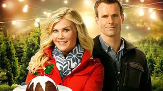 A Plum Pudding Mystery A Plum Pudding Mystery