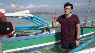 Rainbow Runner in Apo Island