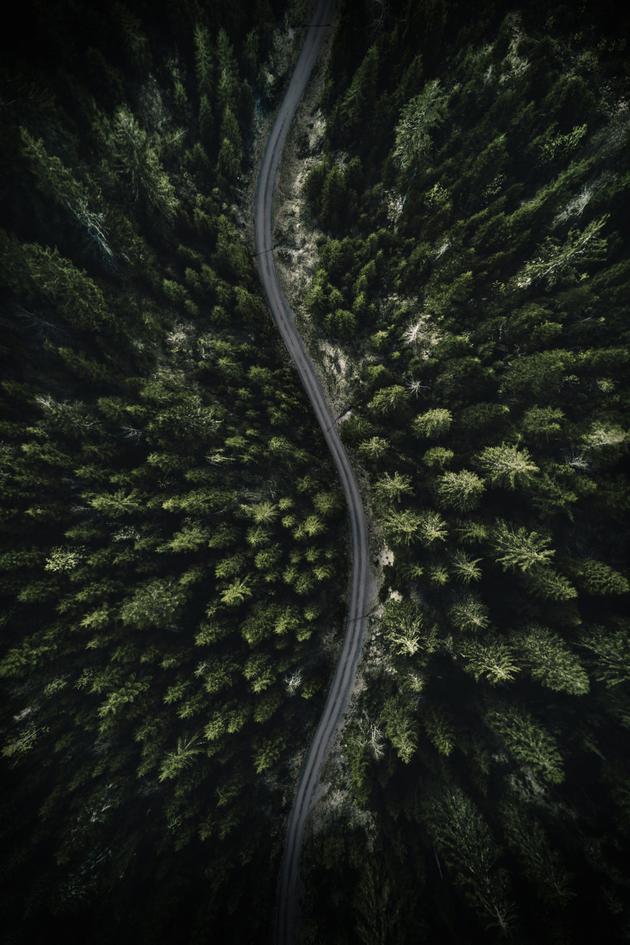 The Wonderland Murders