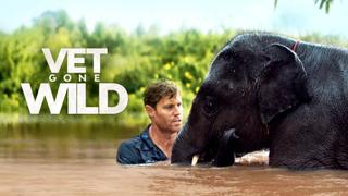  watch Vet Gone Wild