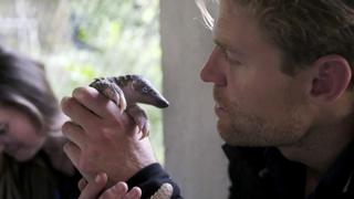 Vietnam's Endangered Animals