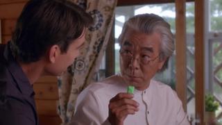 Pig, Man, Lion Pig, Man, Lion