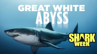 Great White Abyss