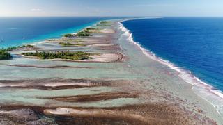 Surviving the Lagoon