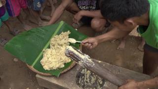 Fruit Bat in Mindoro