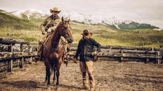 No Good Horses No Good Horses