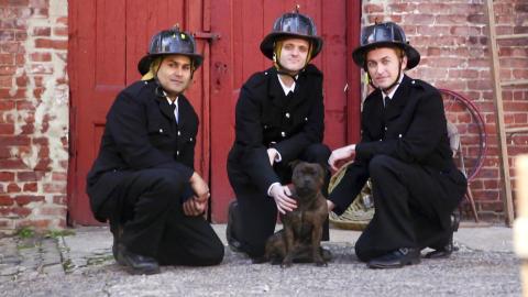 Cat's Best Friend, Sunken Treasure and Raining Frogs