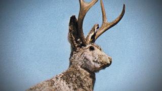 Mysteries at the Museum