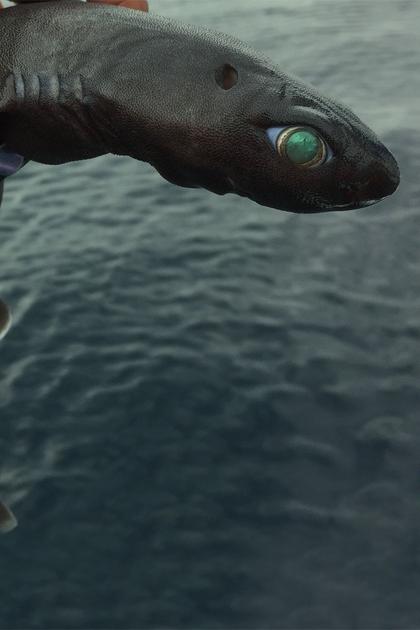 Alien Sharks Greatest Hits