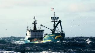 Greenhorn Overboard Greenhorn Overboard