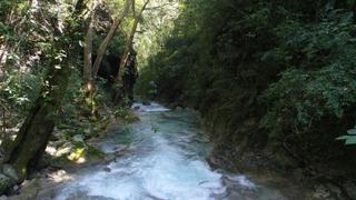 Sierra Gorda: The Wild Heart