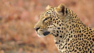 Mvula's Journey Mvula's Journey