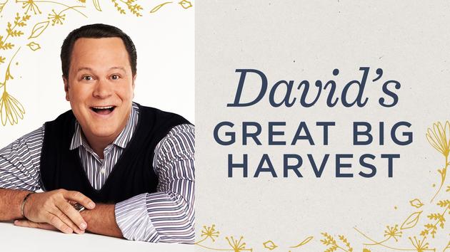 David's Great Big Harvest