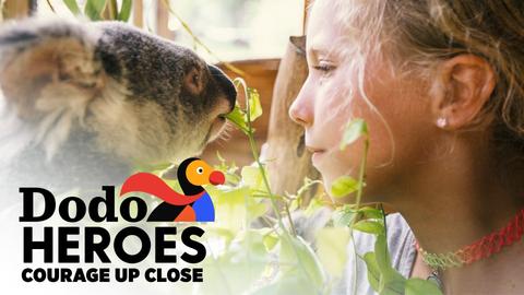 Dodo Heroes: Courage Up Close