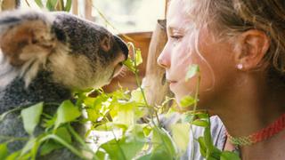 Pen's Toughest Case to Date Pen's Toughest Case to Date