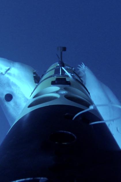 SharkCam Stakeout