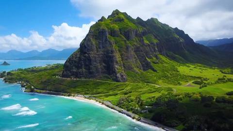 Hawaiian Island Treehouse Adventure