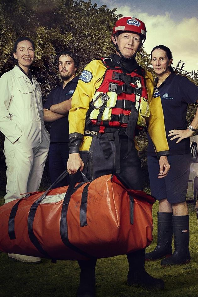 Saving Britain's Wildlife