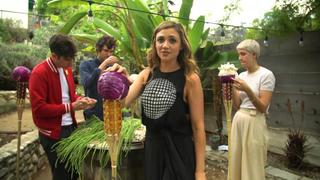 Party Tricks Party Tricks