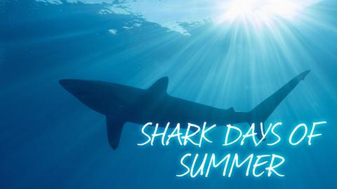 Shark Days of Summer