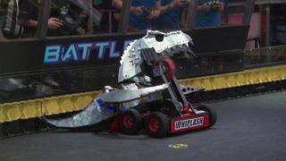 A Bull in a Bot Shop A Bull in a Bot Shop