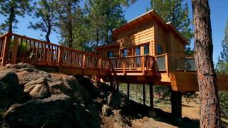 Never Too Old for a Treehouse Never Too Old for a Treehouse