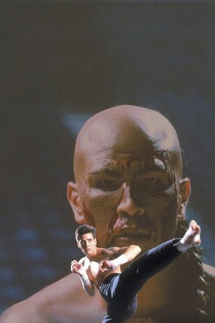 Kickboxer 4: The Aggressor