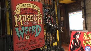 Mysteries at the Museum