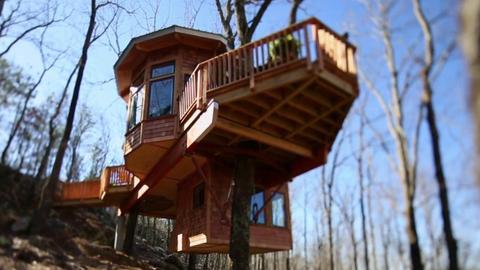 Super Spy Treehouse