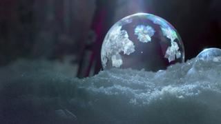 A Delicate Balance A Delicate Balance