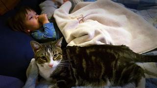 Surprise Animal Pairings Brings Family Together Surprise Animal Pairings Brings Family Together