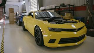 The Bandit Is Back The Bandit Is Back