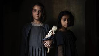 The Dolls
