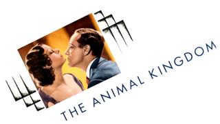 The Animal Kingdom