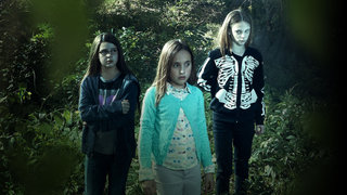 Terror in the Woods
