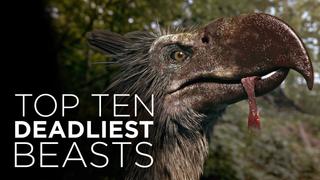 Top Ten Deadliest Beasts