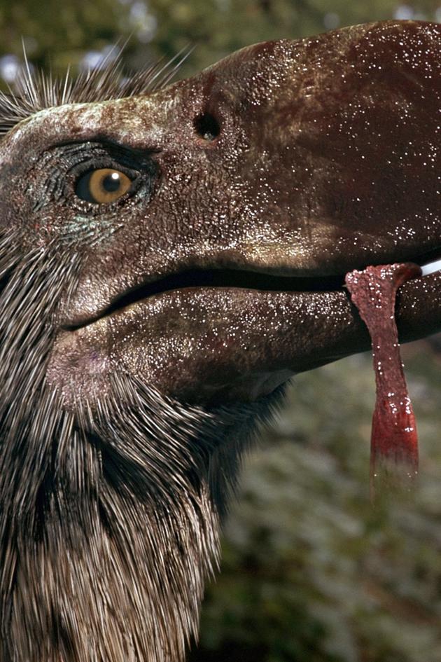 Top Ten Deadliest Beasts