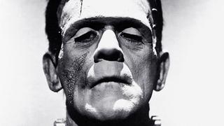 The Strange Life of Dr. Frankenstein