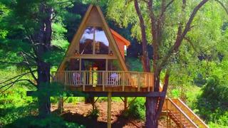 A Treehouse Production A Treehouse Production