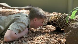 Crikey! It's the Irwins