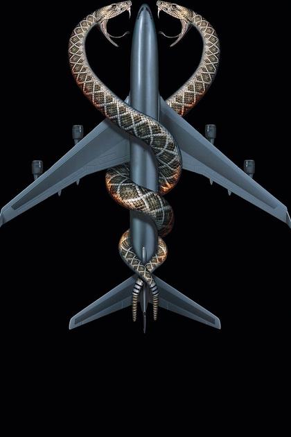 Snakes on a Plane