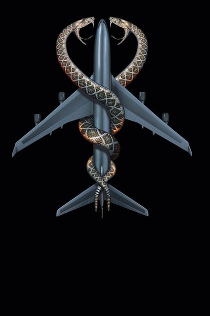 Snakes on a Plane