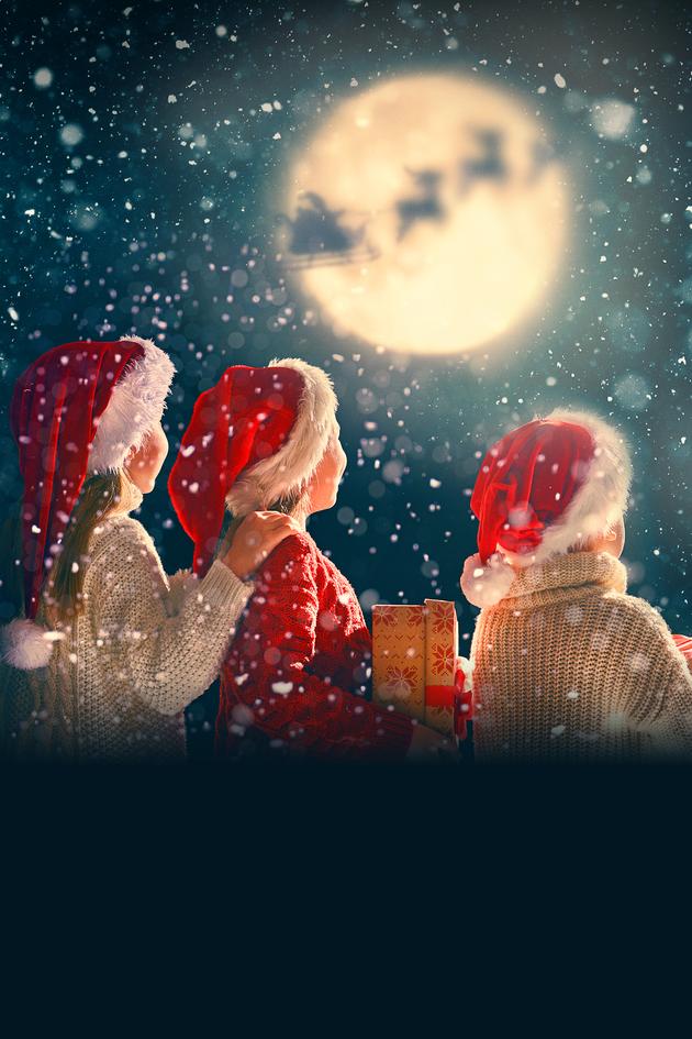 Home for the Holidays