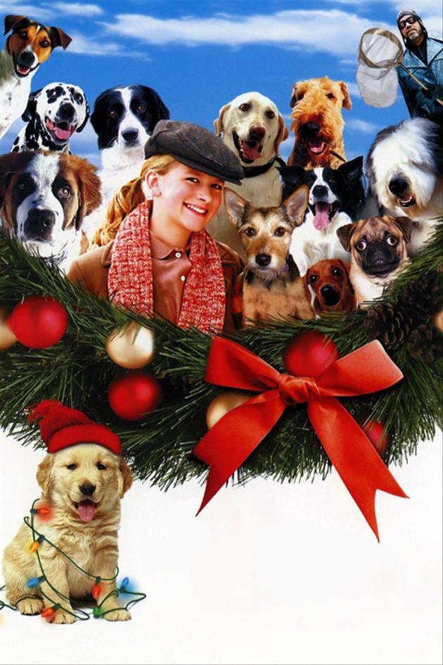 The 12 Dogs of Christmas