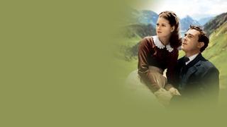 How Green Was My Valley